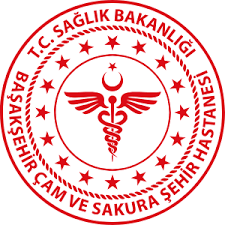 istanbul-sehir-hastanesi-cam-sakura